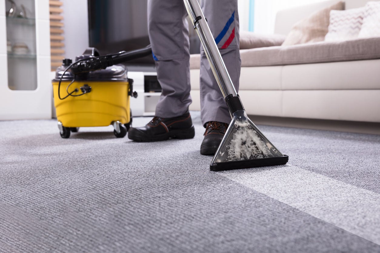 Scottsdale Az Carpet Cleaners